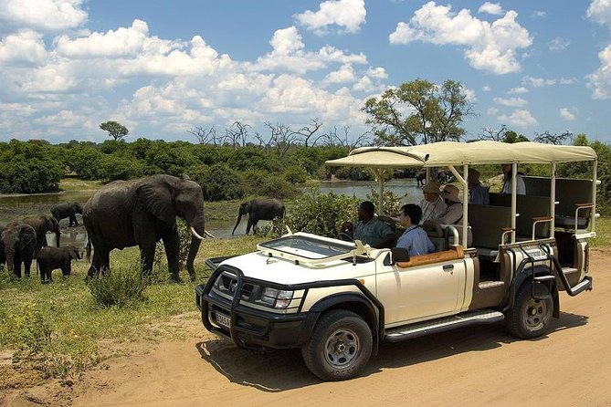 Explore Chobe National Park With a Day Trip from Victoria Falls - The three-hour afternoon game drive