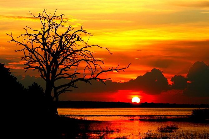 Explore Chobe National Park With a Day Trip from Victoria Falls - The two-hour Chobe River cruise