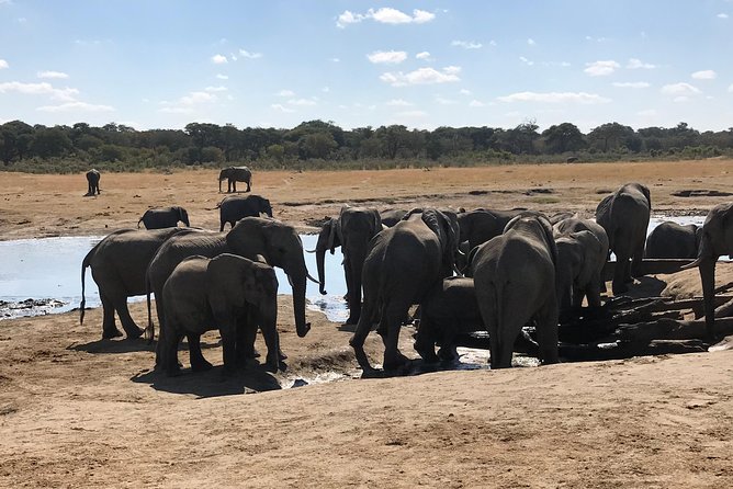 Five-Day Hwange NP, Chobe NP and Victoria Falls Combo - Why this five-day route works