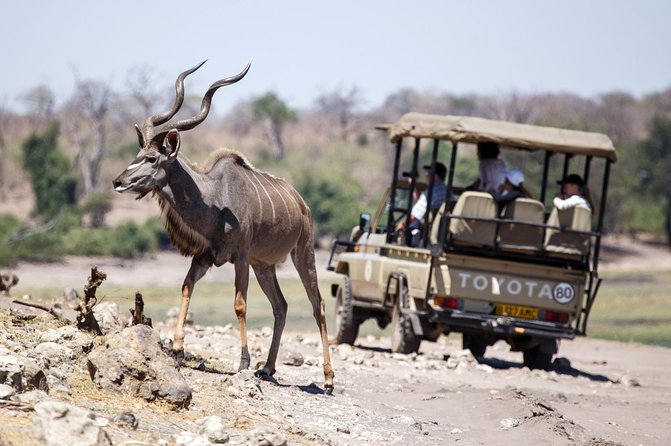 Five-Day Hwange NP, Chobe NP and Victoria Falls Combo - Day four: Chobe by river first, vehicle second