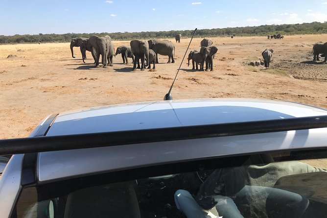 Five-Day Hwange NP, Chobe NP and Victoria Falls Combo - Day five: an airport day with room for an extra activity