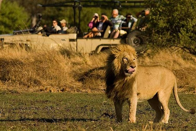 Five-Day Hwange NP, Chobe NP and Victoria Falls Combo - Day two: a full day among Hwange’s elephants