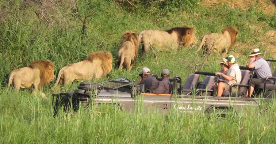 From Kasane: Chobe National Park Full Day Wildlife Safari - Key points to know before booking