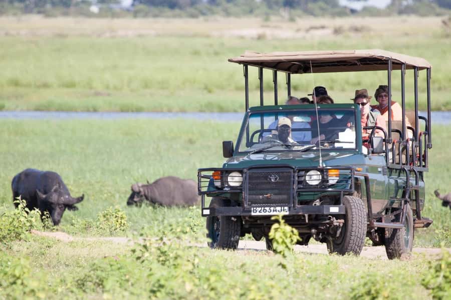 From Kasane: Chobe National Park Full Day Wildlife Safari - Tips for getting more from the day
