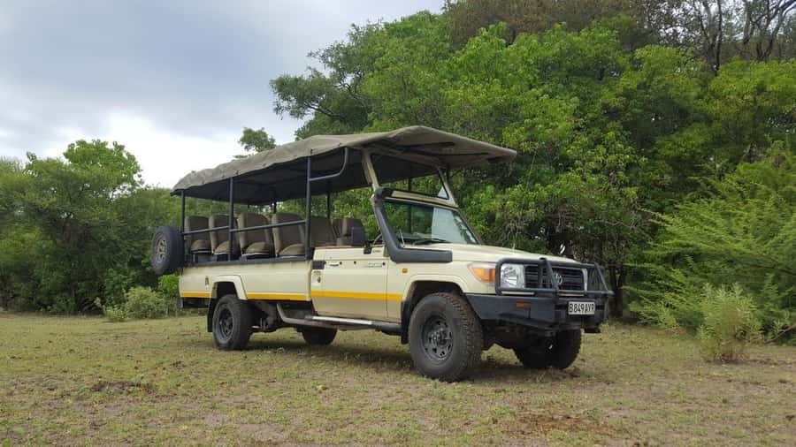 From Kasane: Chobe National Park Full Day Wildlife Safari - Should you book the Chobe day safari?