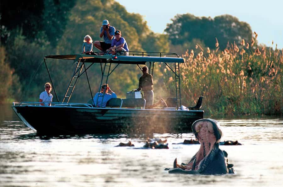 From Livingstone: Victoria Falls River Safari - Key points to know before booking