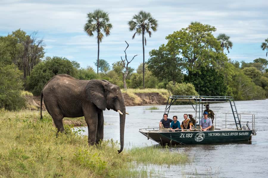 From Livingstone: Victoria Falls River Safari - Who will enjoy this two-hour safari?