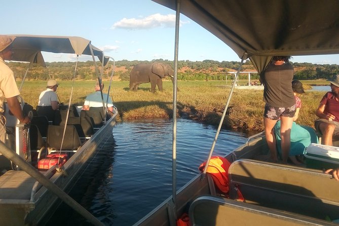 From Victoria Falls: Chobe National Park Small Group Tour - Lunch beside the river at midday
