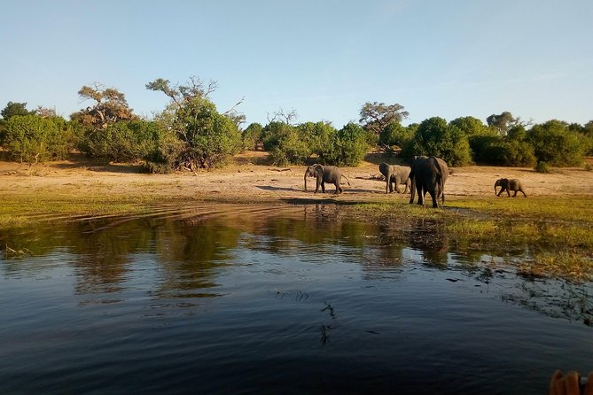 From Victoria Falls: Chobe National Park Small Group Tour - Who will enjoy this Chobe excursion most?