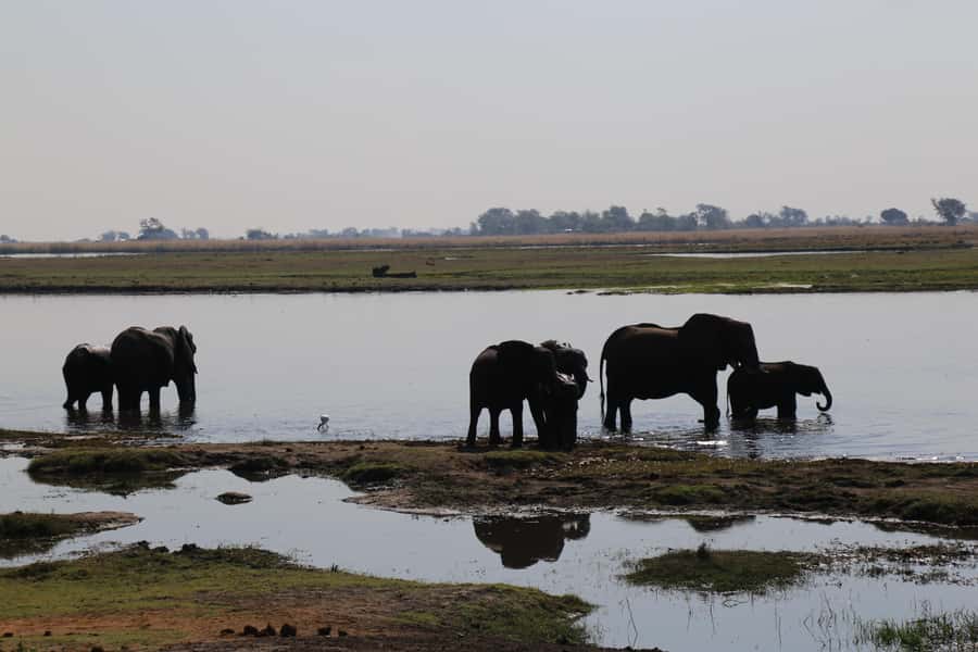 From Victoria Falls: Chobe National Park Small Group Tour - Who should choose this Chobe tour?