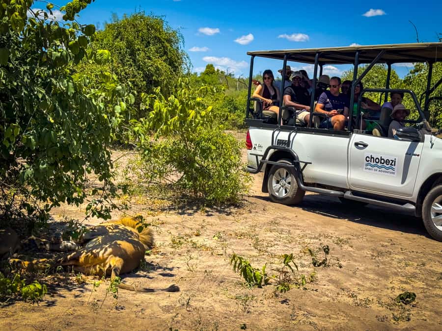 From Victoria Falls: Full Chobe Day trip to Chobe, Botswana - Lunch and the change from boat to vehicle
