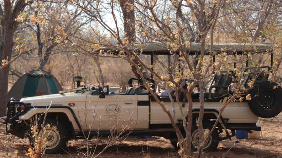 From Victoria Falls: Sunrise to Sunset Chobe Safari - The morning game drive in Chobe National Park