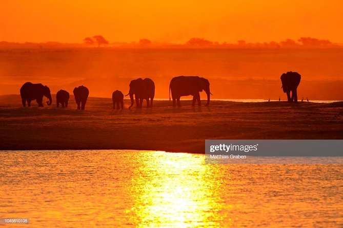 Full Day Chobe National Park Big 5 Safari - Why Chobe makes a good day trip from Victoria Falls