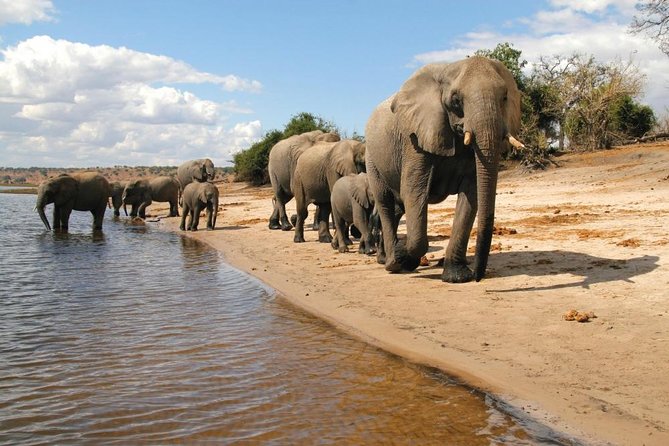 Full Day Chobe National Park Big 5 Safari - Who will enjoy this safari most?
