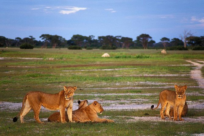 Full Day Hwange Day Trip - Key points before you book
