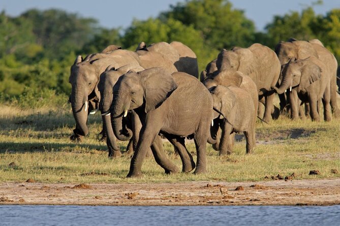 Full Day Hwange Day Trip - Why Hwange Makes a Good Day Trip