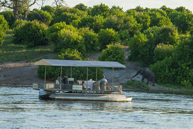 Full-Day Safari Chobe National Park and boat safari - Key points before you book