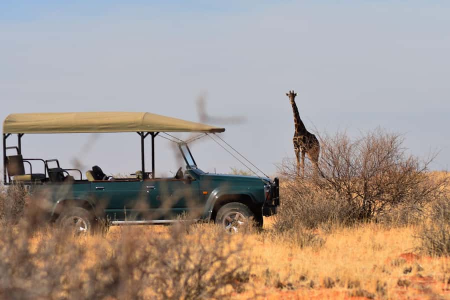 Full Day Safari in Chobe National Park From Victoria Falls - Key points to know before booking