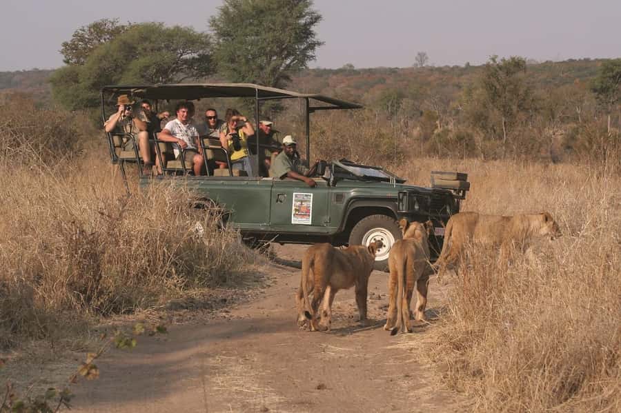 Full Day Safari in Chobe National Park From Victoria Falls - The Chobe River boat cruise