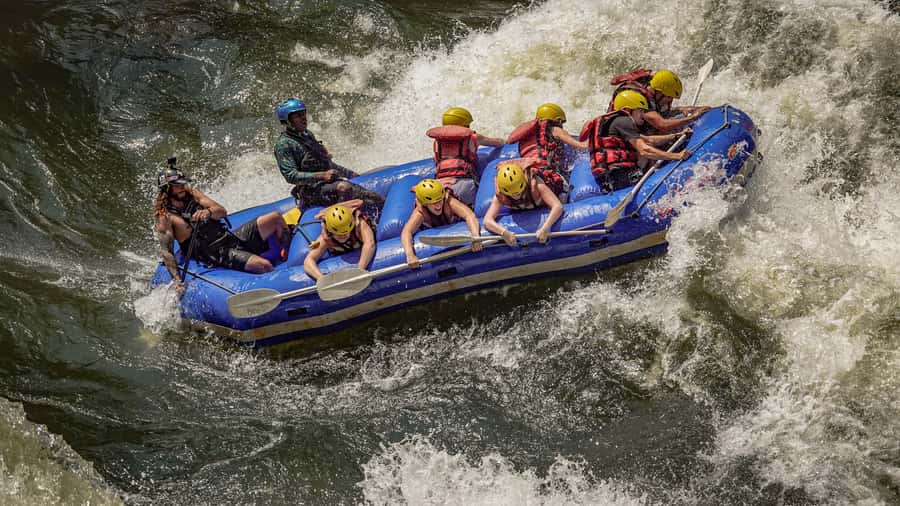 Full Day White Water Rafting Tour - Pickup from Victoria Falls, Livingstone, or Kasane
