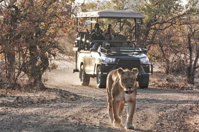 Full-Day Zimbabwe Zambezi National Park Safari & Lunch - What you might see, from elephants to leopards