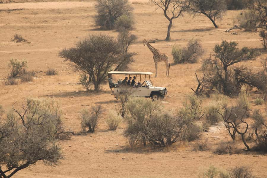 Game drive in Victoria Falls - Why this Victoria Falls game drive is worth considering
