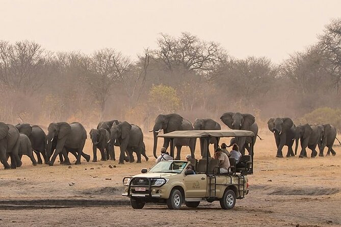 Game Drive Morning & Afternoon - Key points before you book