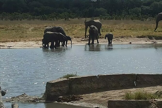 Game Drive Morning & Afternoon - A small group keeps the cost in check