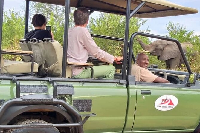Game Drive Morning & Afternoon - How much physical effort should you expect?