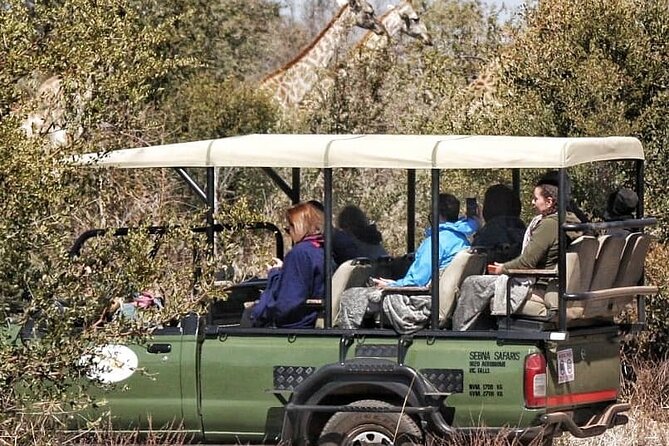 Game Drive Morning & Afternoon - The strongest reasons to choose this drive