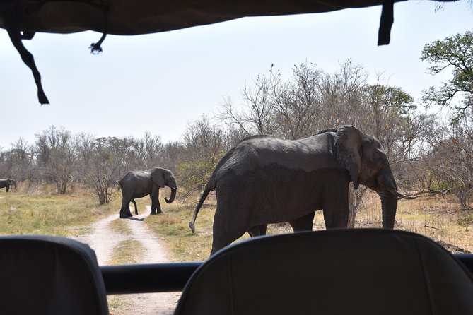Game Drives - What the Three-Hour Drive Feels Like
