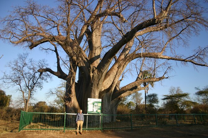 Guided 4x4 Town Safari in Victoria Falls - Why the guide matters