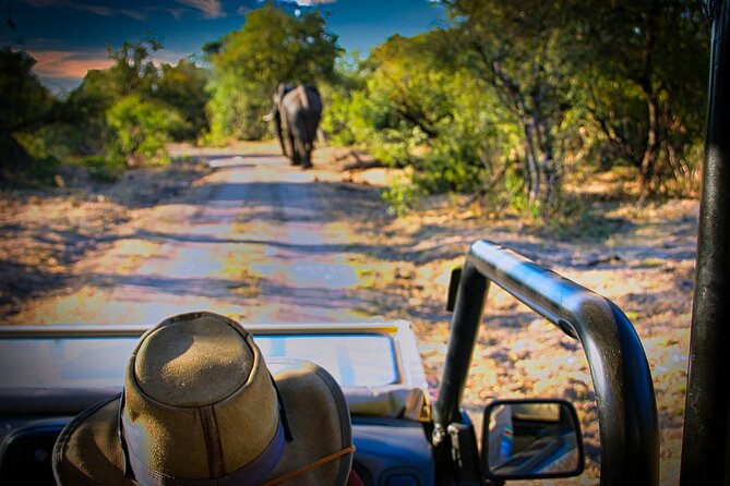 Guided 4x4 Town Safari in Victoria Falls - Chinotimba offers a more local view