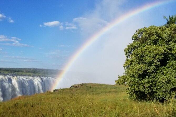 Guided Falls Tour & Zambezi River Cruise Combo - Why this two-day pairing works