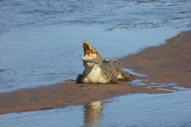 Guided Falls Tour & Zambezi River Cruise Combo - What the $95 price really covers