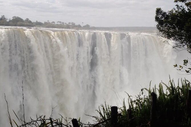 Guided Tour of the Falls - The Big Tree and optional market stop