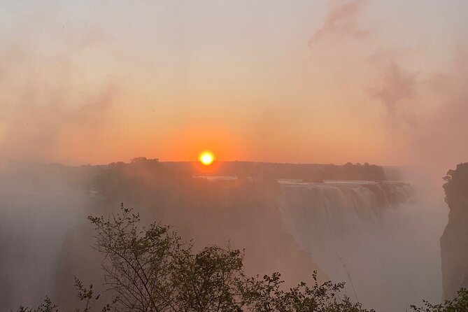 Guided Tour of the Falls Rainforest - Key points at a glance