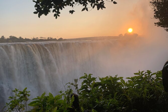 Guided Tour of the Falls Rainforest - Walking the viewpoints over two to three hours