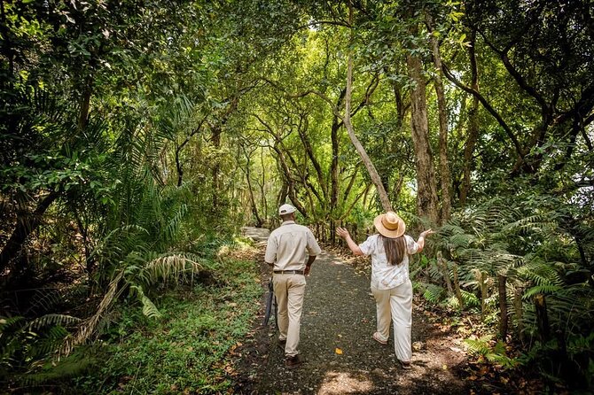 Guided Tour of the Falls Rainforest - What makes MacDonald’s guiding useful
