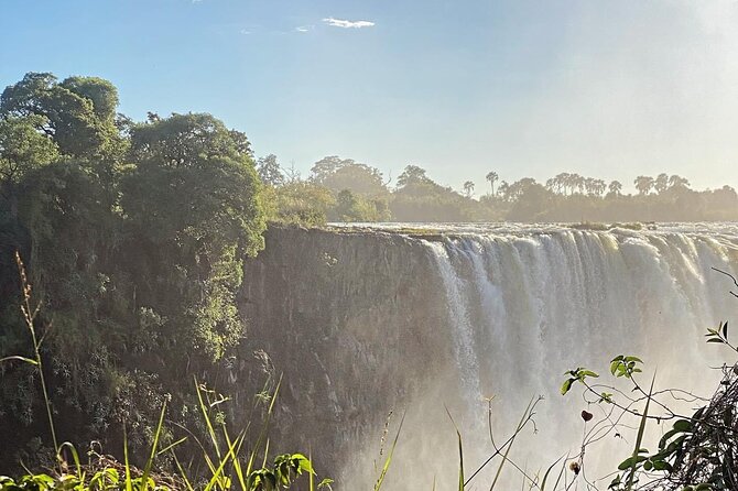 Guided Tour of the Falls Rainforest - Sunrise timing and the Monday schedule