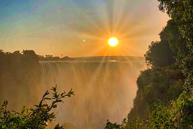 Guided Tour of the Falls Rainforest - Comfort, group size, and who should book