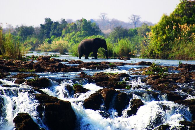 Guided Tour of the Falls (ZIM side) Wildlife Safari, by Savannah - A bush route before the Victoria Falls viewpoints