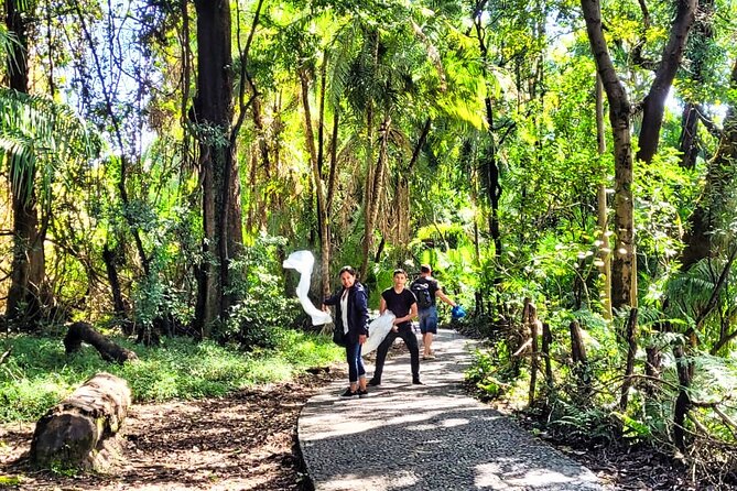 Guided Tour of the Falls (ZIM side) Wildlife Safari, by Savannah - Entering the rainforest made by Victoria Falls spray
