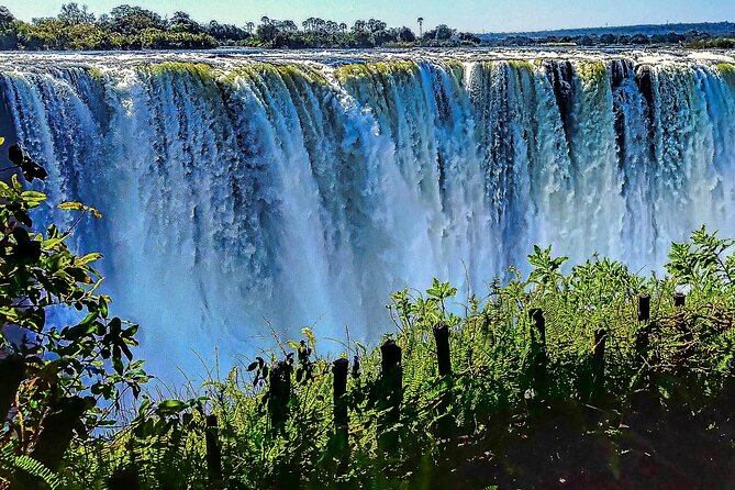 The full curtain of Victoria Falls in flood, seen from the rainforest path