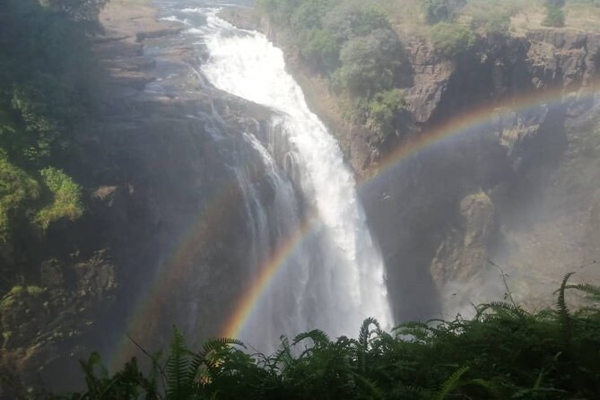 Guided Tour of the Falls (Zimbabwe side) - The Boiling Point and the power of the gorge