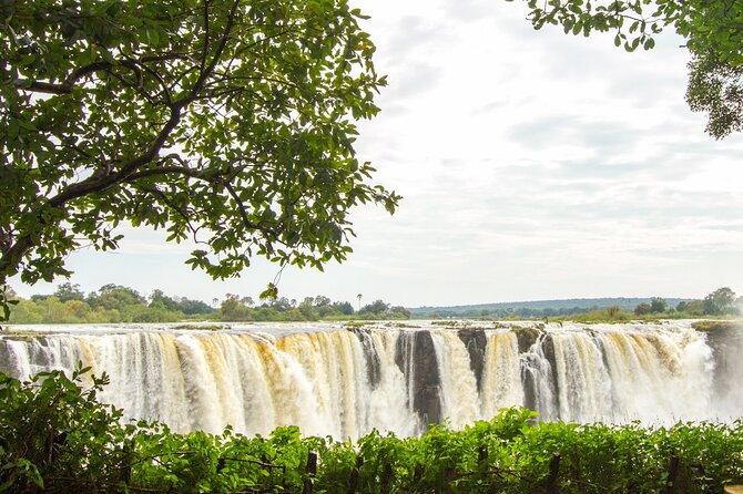Guided Tour of the Falls (Zimbabwe side) - Who should book this Victoria Falls walk