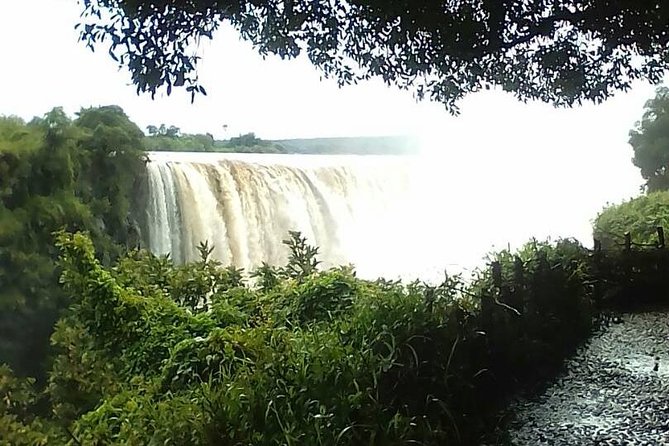 Guided Tour Of the Victoria Falls Zimbabwe - Hotel pickup and the Big Tree