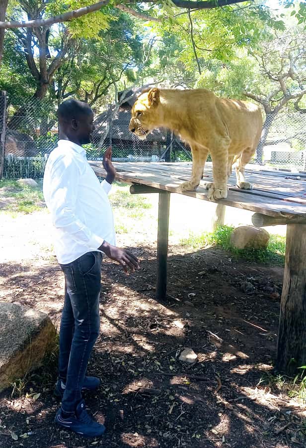 Harare: Half Day Outdoor Adventure - Key points to know before booking