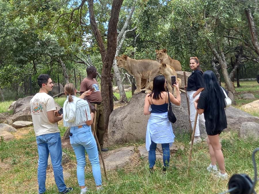 Harare: Half Day Outdoor Adventure - A city introduction built around Harare’s main roads