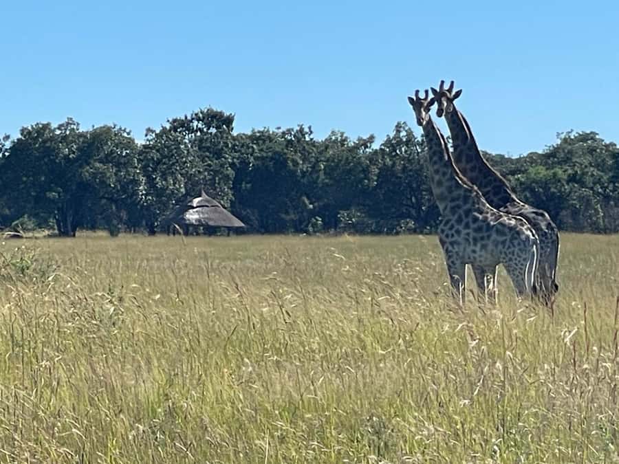 Harare: Half Day Outdoor Adventure - Why the private format matters